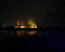 У київському екопарку "Осокорки" внаслідок пожежі вигоріло кілька гектарів території - чиновники звернулись до поліції