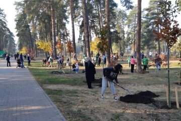 Алея пам’яті киян