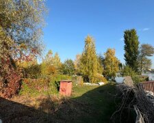 Махінації на березі озера «Заплавне»: киянку судитимуть за захоплення землі та підробку документів