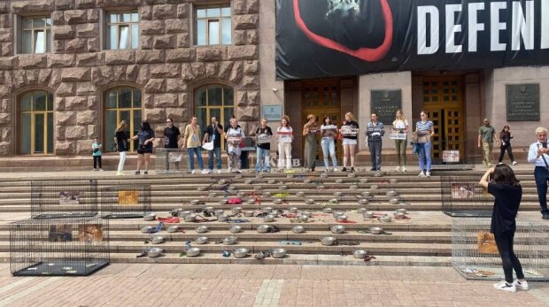 В Києві пройшла акція за звільнення керівниці притулку для тварин в Бородянці, де загинули 222 собаки
