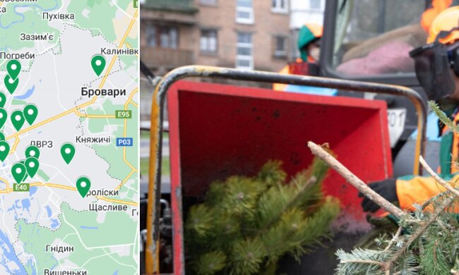 У Києві запрацювали 44 пункти прийому (утилізації) новорічних ялинок - адреси