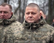 Сили ППО збили 61 із 71 ракет, випущених сьогодні росіянами, – Залужний