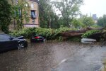 Шквал в Києві повалив кілька великих дерев і підтопив вулиці (фото, відео)