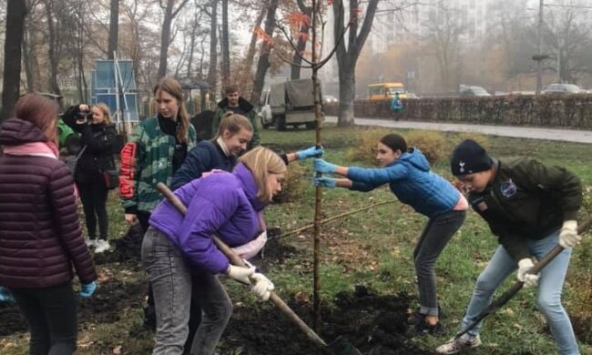 Школярі висадили унікальні дерева у Святошинському сквері
