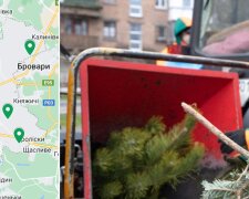 У Києві запрацювали 44 пункти прийому (утилізації) новорічних ялинок - адреси