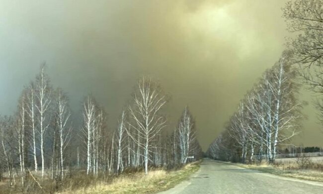 Лісові пожежі в зоні відчуження гасять сотні рятувальників на землі та з повітря