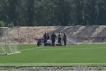 Лось в Києві — тварина загинула від отриманих травм