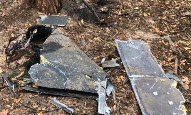 На Київщині знайшли уламки дрона-камікадзе "Герань-2"