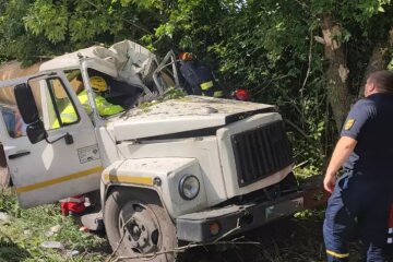На Київщині водій вантажівки злетів з дороги та врізався у дерево — його довелось витягати рятувальникам