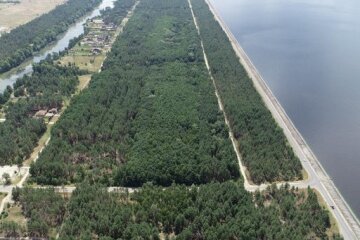 На Київщині викрили спробу незаконної приватизації лісу