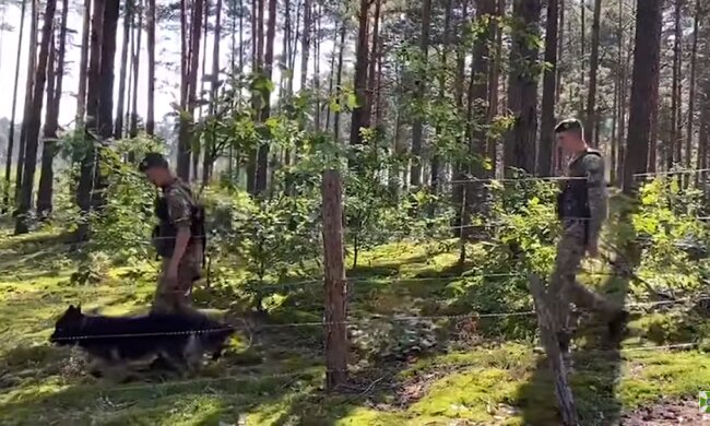 РФ оголосило про масштабні військові навчання у Білорусі: Україна посилює захист кордону (відео)