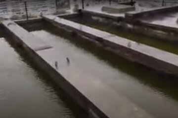 У Києві після зливи дах багатоповерхівки перетворився на басейн, вода стікає в квартири (відео)