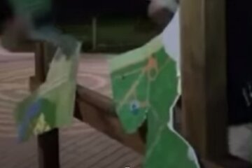 Комунальники просять впізнати підлітків-вандалів, які спаплюжили парк Пуща-Водиця (відео)