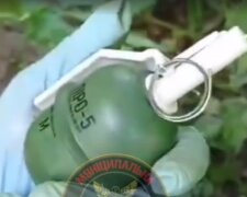 Обережно, граната! В Сирецькому парку столиці виявили розтяжку (відео)