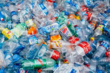 День без пластику: для чого треба відмовитися від поліетилену