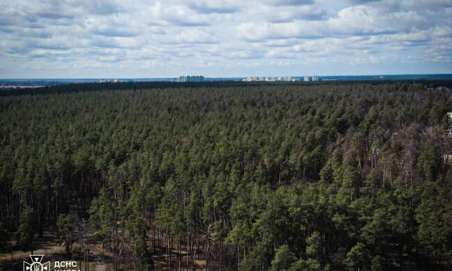 Рятувальники використали безпілотну техніку з тепловізорами, аби перевірити київські ліси на наявність пожеж