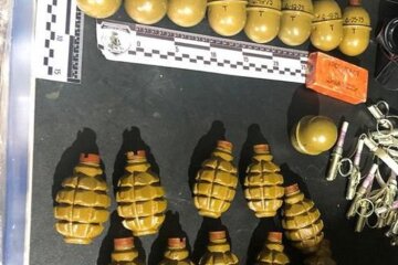 Автомати, пістолети, кулемети, боєприпаси: у киян вилучили арсенал зброї (фото)