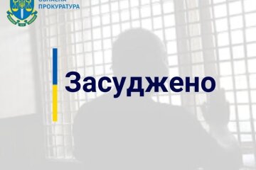 Прокуратура Київщини домоглась довічного позбавлення волі для чоловіка, який жорстоко вбив свою матір
