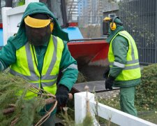 Кияни активно долучаються до екологічної ініціативи, здаючи використані святкові дерева у спеціалізовані міські локації.