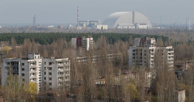 Названі приблизні терміни заселення Чорнобильської зони