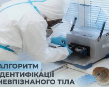 Точність понад усе: в Україні впровадили нові правила впізнання загиблих за ДНК