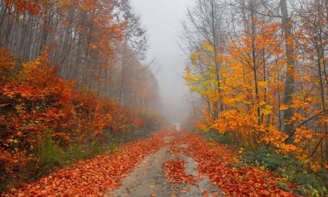 В Україні вдарять заморозки і налетить похолодання