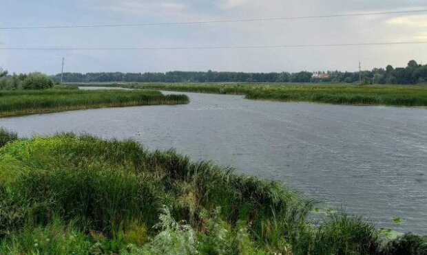 В Бучанському районі виявлено забруднення води у річці Здвиж