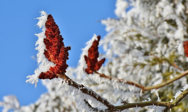Прогноз погоди на листопад 2019 року