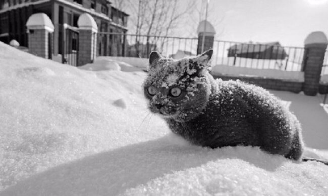 В Україні стане по-справжньому холодно