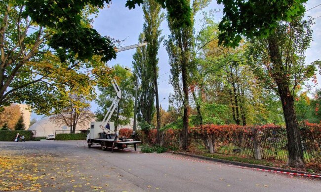 У Києві будуть користуватись єдиними правилами з обрізки дерев