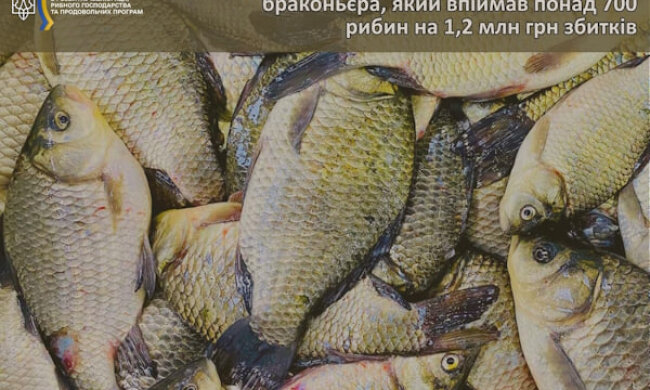 В області викрили бракон'єра, який наловив понад 700 рибин та завдав шкоди на понад ₴1,2 млн