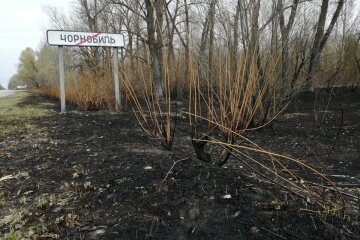 ЄС готовий допомогти в ліквідації пожеж в Зоні відчуження