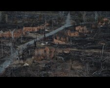 Відчуття апокаліпсису: страшні наслідки пожеж в Зоні відчуження (відео)