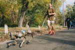 Робот-пес подолав дистанцію забігу Run4Victory на підтримку військових