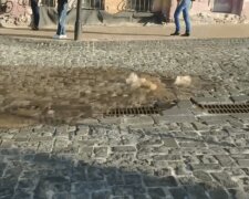 На Андріївському узвозі з-під бруківки потекла вода (відео)
