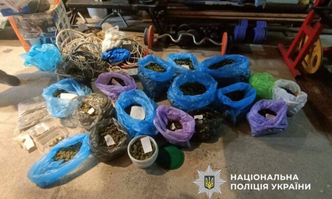 Наркофермер зі Ржищева: поліція вилучила 14 кг канабісу в морозилках