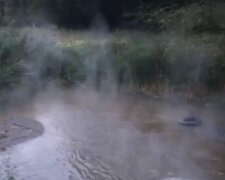 Потоки окропу: в озеро Голосіївського парку зливають гарячу воду (відео)