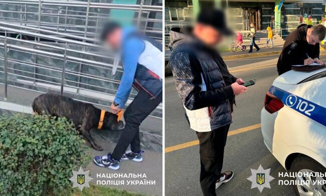 У Києві власник жорстоко побив свого собаку посеред вулиці