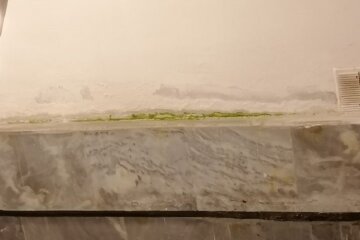 У київському метро пліснявіють стіни