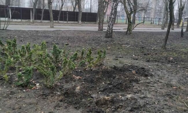 Розпач та відчай: за ніч вандали обікрали два сквери на Лівому березі