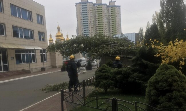 Наслідки вчорашньої негоди у Києві прибирають досі