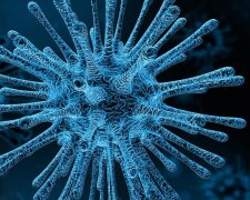 Першого, хворого на коронавірус українця, госпіталізовано у Японії