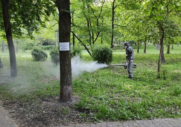 У київських парках почали винищувати кліщів