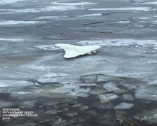 На Київщині на льоду водойми знайшли залишки російського дрона