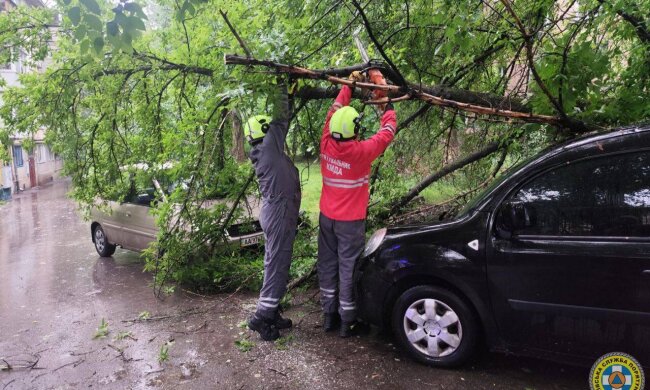 У Києві ліквідували наслідки негоди: рятувальники прибирали дерева з доріг та пошкоджених авто