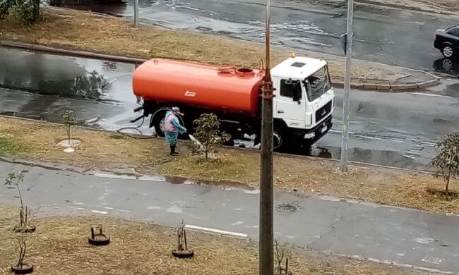 Є важливий секрет: комунальники пояснили, для чого поливали дерева у дощ