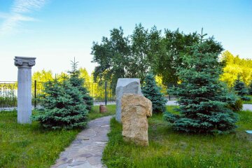 Київські ялинки обробляють спеціальним розчином проти вандалів