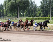 Київський іподром запрошує киян на гостей міста на змагання коней