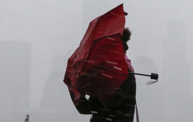 Шторм у Києві: швидкість вітру досягла рекордних значень за історію спостережень