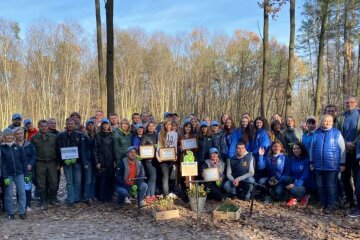 Абсолютний рекорд України: під Києвом висадили 8000 дубів і сосен